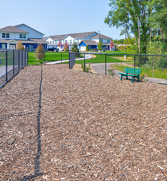 a young couple out for a run